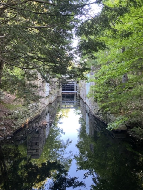 Lock in Shubie Park. You can see water, green trees either side and a lock gate.