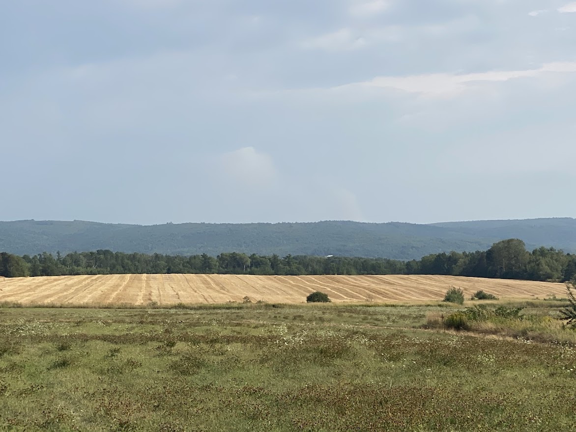 View across fields - in the distance, smoke rises from the ground - looked like clouds